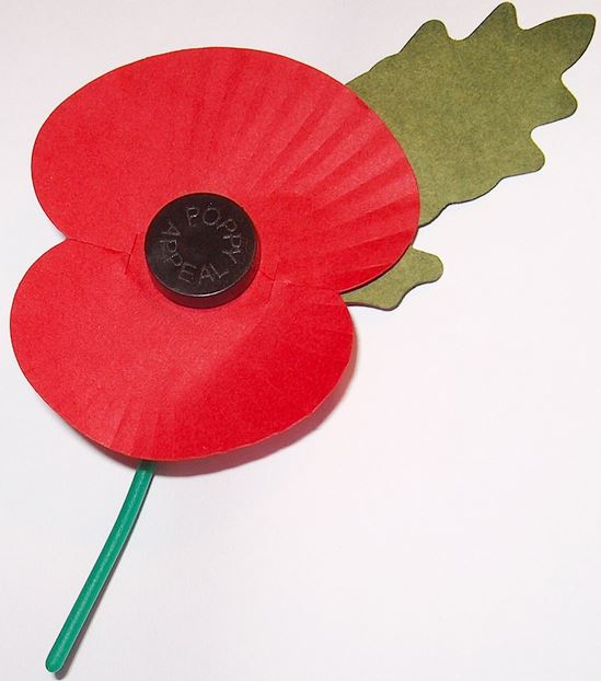 The paper and plastic poppy as sold by the Royal British Legion for fund-raising today.